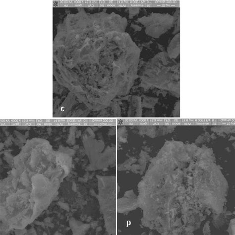 Sem Micrographs Of Bafe 12 O 19 Calcined A 550 Bullet C B 700 Download Scientific Diagram