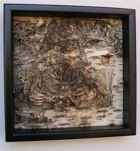 Birch Bark Art Birch Bark Modernminimalist Urban Rustic