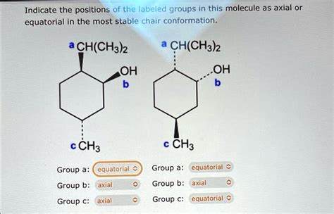 SOLVED Indicate The Positions Of The Labeled Groups In This Molecule