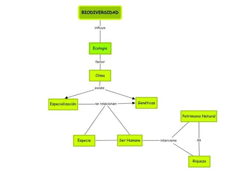 Mapa Conceptual De La Biodiversidad 1 Mapasytemas10 Udocz