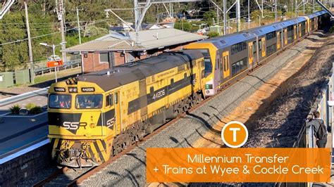 Sydney Trains Vlog Millennium Set Transfer Trains At Wyee And