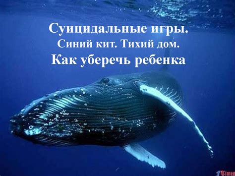 Суицидальные игры. Синий кит. Тихий дом. Как уберечь ребенка ...