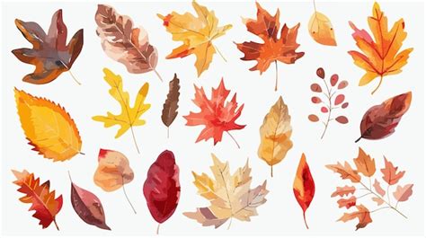 Autumn Watercolor Fallen Leaves Seasonal Clip Art Premium Ai