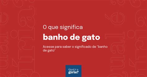 O Que Significa Banho De Gato Qual O Significado De Banho De Gato O