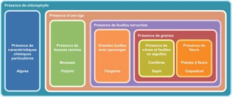 Classer Les Tres Vivants Assistance Scolaire Personnalis E Et