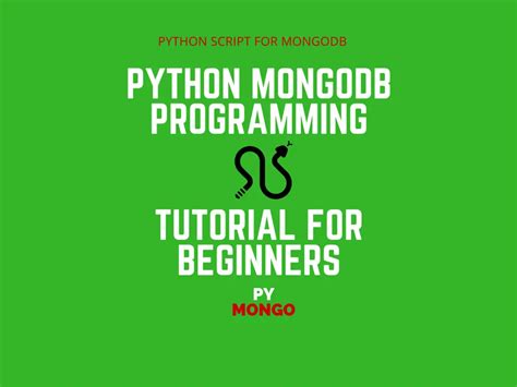 Python Mongodb Tutorial For Quick Set Up