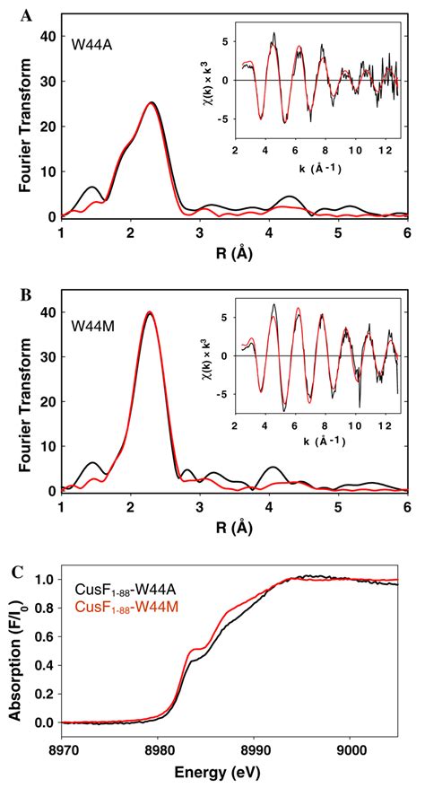 Extended X Ray Absorption Fine Structure Exafs Data For Cusfw M And