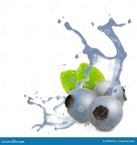 Blueberry Splash Stock Image Image Of Motion Bubble 44498165