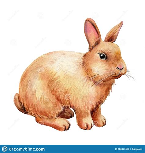 Bunny On White Isolated Background Watercolor Illustration Spring