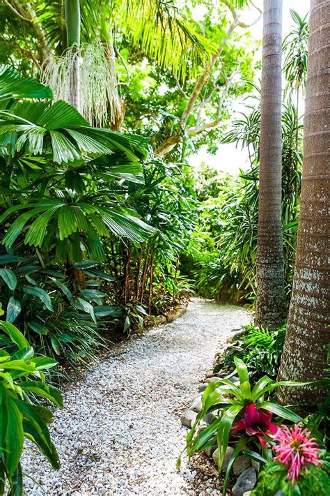 Warm Tropical Backyard Landscaping Ideas 45 Tropical Backyard