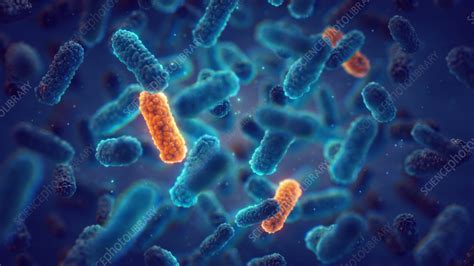 Antimicrobial Resistance Conceptual Illustration Stock Image F036