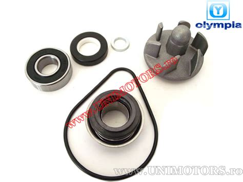 Set Reparatie Pompa Apa Honda Pantheon 125cc 150cc 2T Olympia