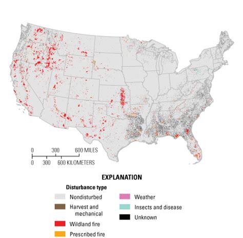 Usgs Online Publications Directory