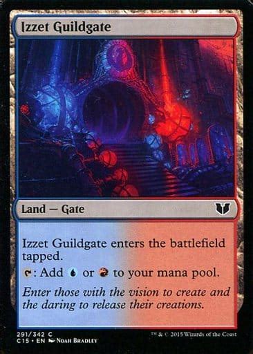 駿河屋 C ： Izzet Guildgateイゼットのギルド門（マジックザギャザリング）