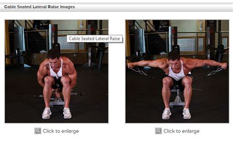 Cable Seated Lateral Raise