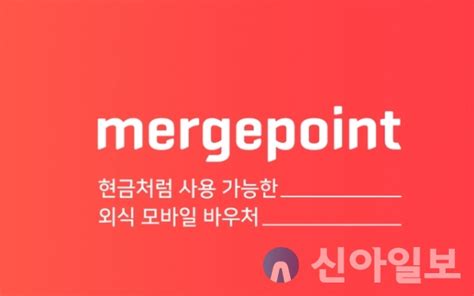 2021국감 권남희 머지플러스 대표 100 환불 보장한다 신아일보