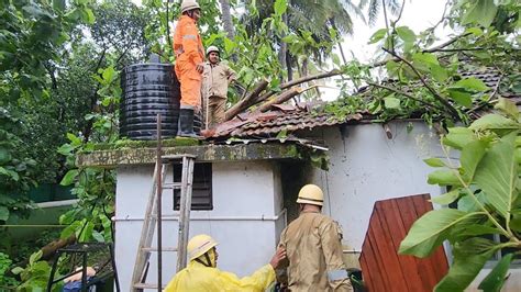 Tree Falls On A House At Bastora No Casualties Reported Youtube