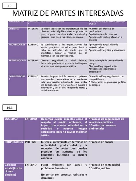 Matriz De Partes Interesadas Pdf Calidad Comercial Logística