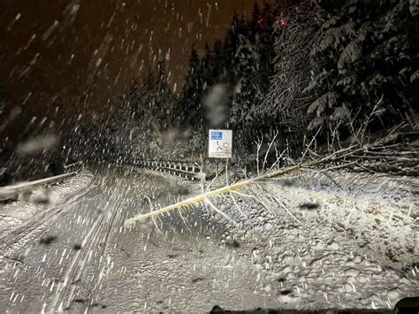 Maltempo Prime Intense Nevicate E Disagi In Trentino Alto Adige