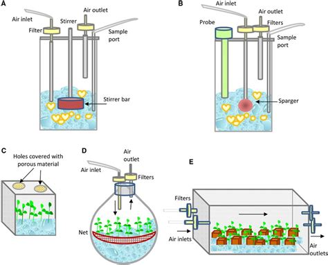 Rita Bioreactors Plantform Bioz