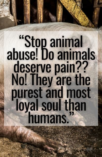 60 Powerful Animal Abuse Quotes To Help Stop Cruelty