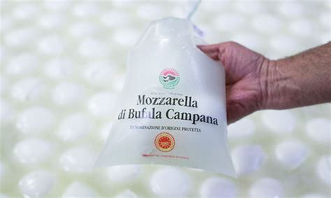 Mozzarella Di Bufala Campana Dop Ricette Descrizione Storia