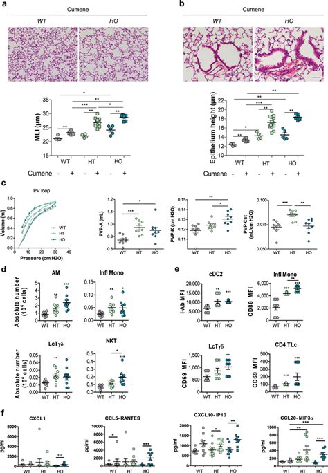 α5SNP amplified oxidative stress induced lung inflammation and