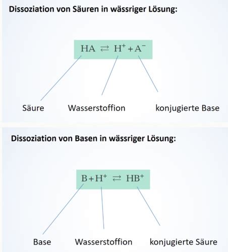 Säure Basen Haushalt Karteikarten Quizlet