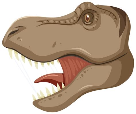 Cabeza De Dinosaurio Tyrannosaurus Rex Sobre Fondo Blanco Vector Gratis