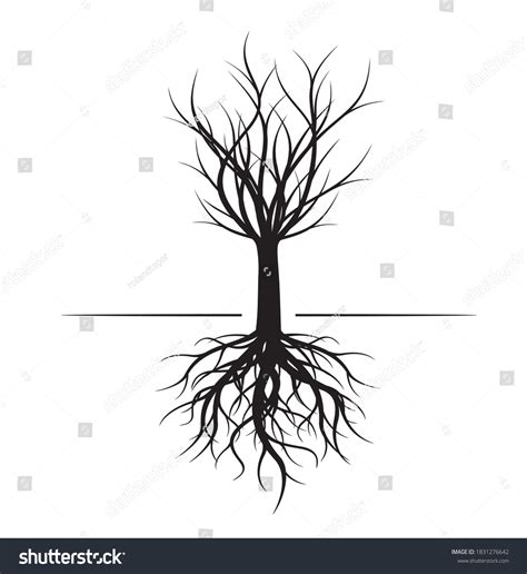 Forma de árbol y raíces desnudos vector de stock libre de regalías