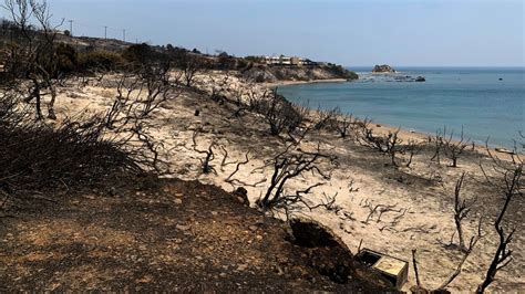 Incendios En Grecia Evacuaciones En Corf Y Eubea Mientras Que En