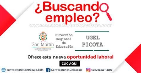 UGEL PICOTA Convocatoria CAS N 009 PROFESIONAL III PARA EQUIPO