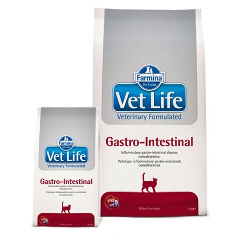 Vet Life Cat Gastro Intestinal 2 Kg 66 47 RON PetMart PetShop