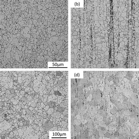 Microstructure Of Cross Section And Longitudinal Section Of Different