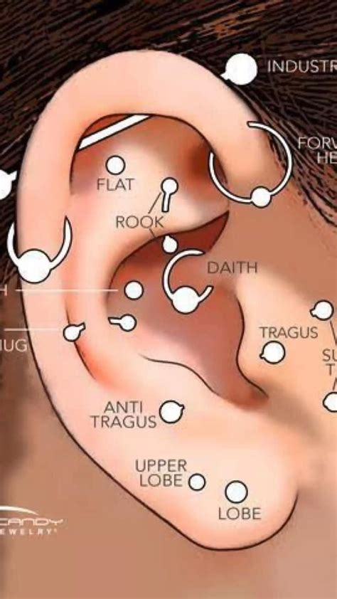 Celestial Orbital Piercing Concepts For Females Orbital Piercing