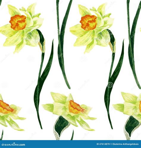 Seamless Pattern With Narcissus Stock Vector Illustration Of Bloom