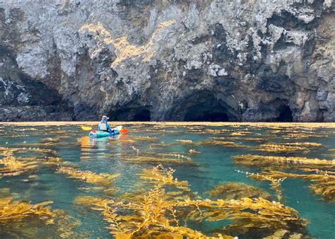 Siteline Exploring The Sea Caves Of Santa Cruz Island