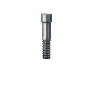 Tornillo Para Implante Dental De Titanio Skylps Bredent Medical