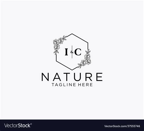 Initial Ic Letters Botanical Feminine Logo Vector Image