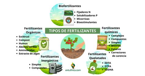 Todo Sobre Tipos De Fertilizantes Qu Son Y Uso Marketplace Entufinca