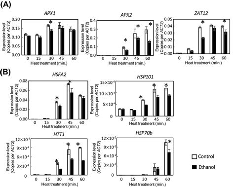 RT QPCR Analysis Of Gene Expression In Response To Heat Stress In