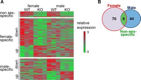 Sex Specific P38α Dependent Transcript Modules In Macrophages Female