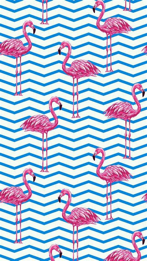 🔥 [16+] Flamingo Pink Wallpapers | WallpaperSafari