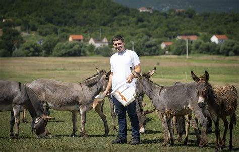 Jutarnji List U Ratu Im Izgorjelo Cijelo Imanje Digli Su Se Iz