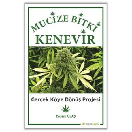 Mucize Bitki Kenevir Gerçek Köye Dönüş Projesi