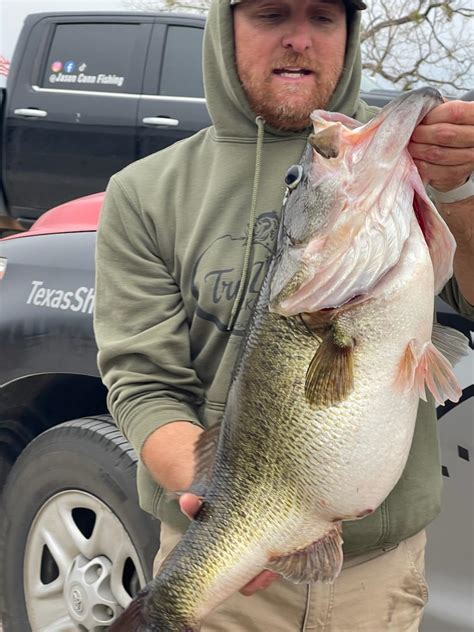 The 20 Greatest Largemouth Bass Caught In Texas GoFisherMen