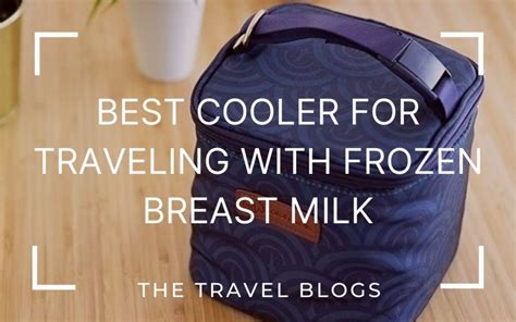 Best Cooler For Traveling With Frozen Breast Milk The Travel Blogs