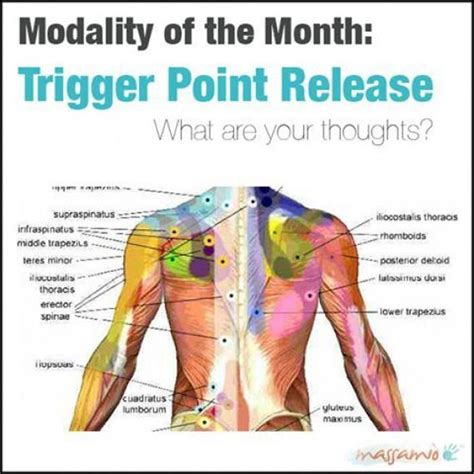 Pin On Psoas Release