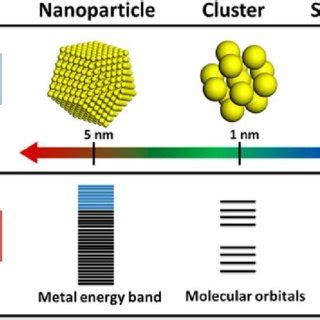 (PDF) Single-atom catalysts for biomass-derived drop-in chemicals