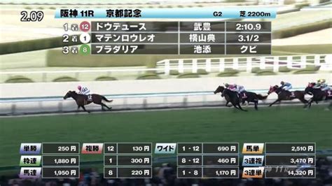 【212 京都記念ほか】阪神ダイジェストjraレース結果 競馬予想動画